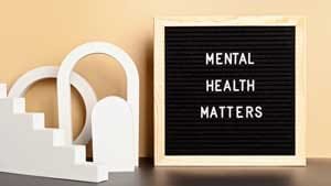 Mental Health Counselor